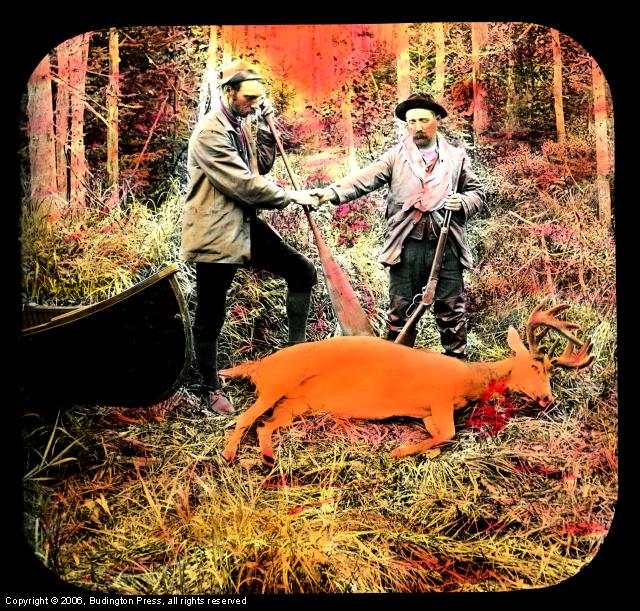 Bloody Deer